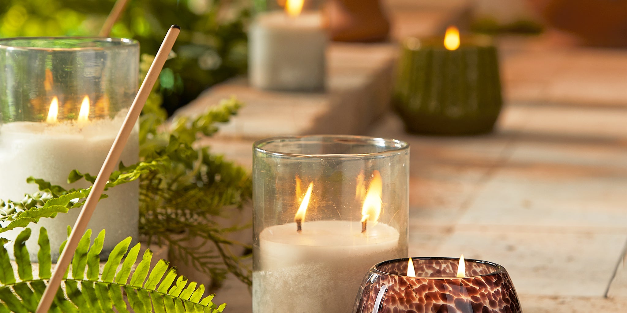 Citronella – tag
