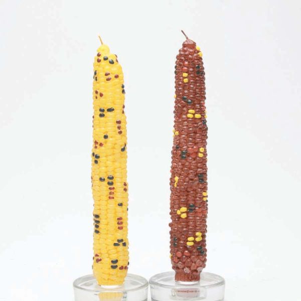 Picture of multi harvest harvest corn taper candles set of 2 - multi