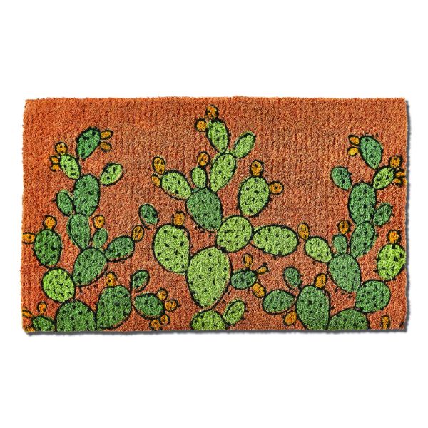 Picture of cactus coir mat - multi