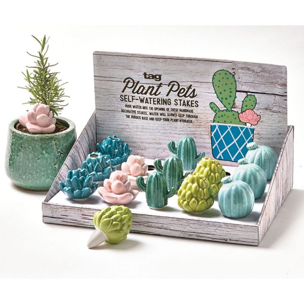 Picture of succulent plant pets assortment of 15 and cdu - multi