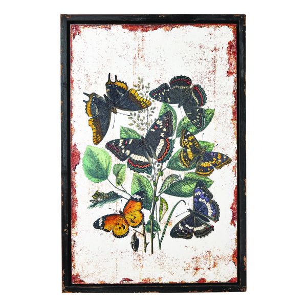 Picture of butterfly wall art - multi