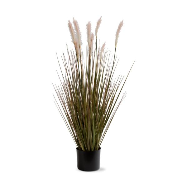 Picture of foxtail grass - green, multi