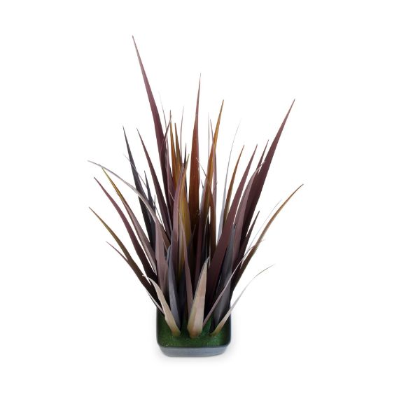 Picture of redwood grass - red, multi