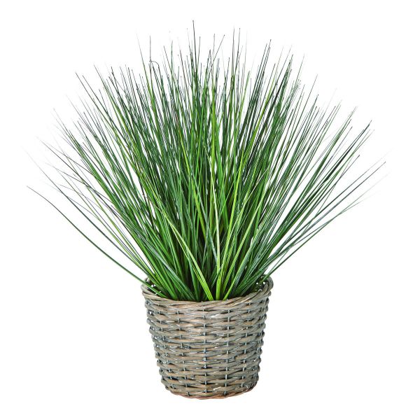Picture of chelsea potted grass - green, multi