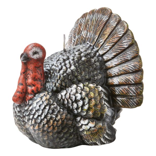 Picture of teddy turkey candle - multi