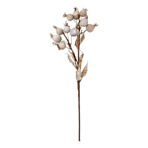 Picture of rose hip spray 18 inch - ivory