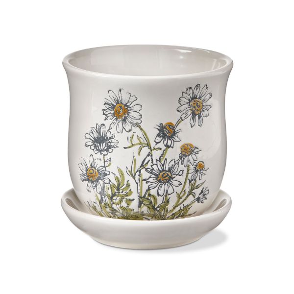 Picture of chamomile planter with saucer set - multi