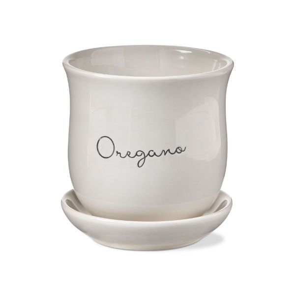 Picture of oregano planter with saucer set - multi