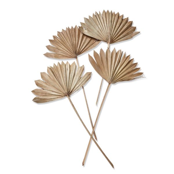 Picture of sun spear stick set of 4 - natural