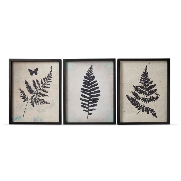 Picture of fern wall art assortment of 3 - multi