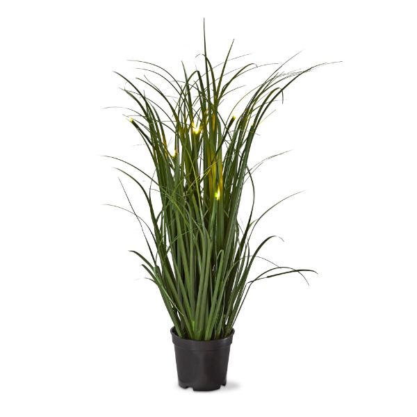 Picture of potted grass with led lights - green