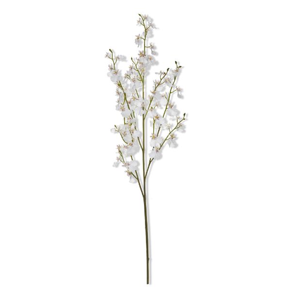 Picture of orchid spray - white, multi