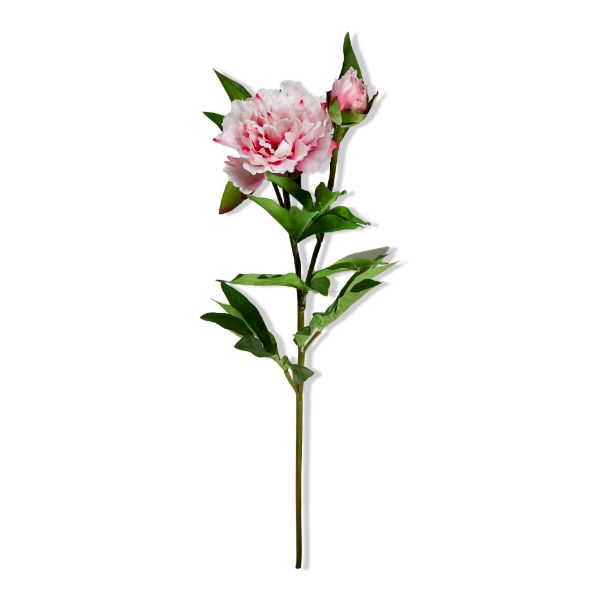 Picture of peony spray - pink
