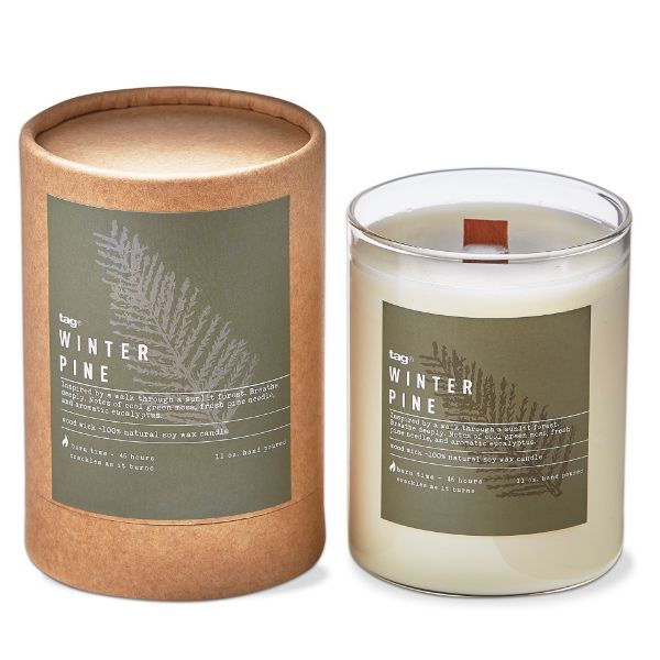 Picture of winter pine fragrance candle - ivory