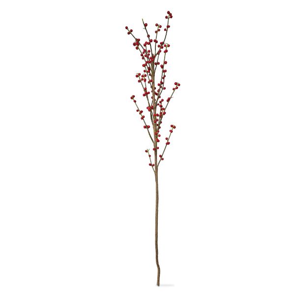 Picture of berry branch - red