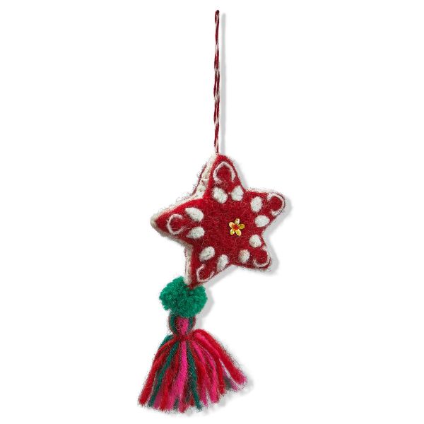 Picture of artisan star and tassel - multi
