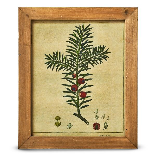 Picture of pine berry vintage wall art - multi