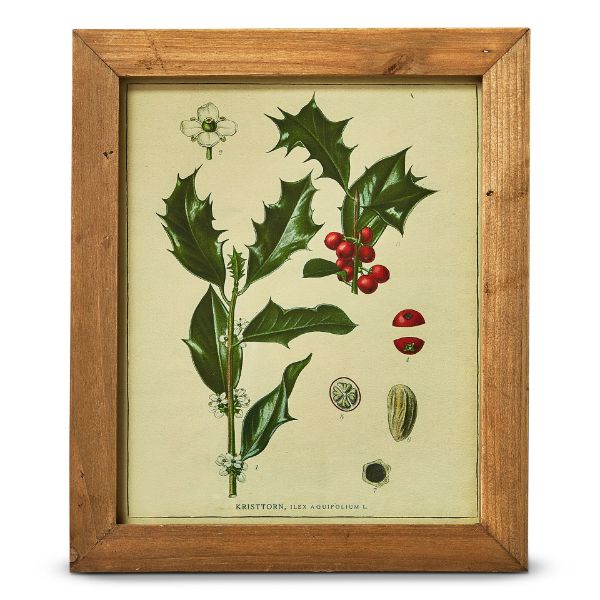 Picture of holly berry vintage botanical wall art - multi