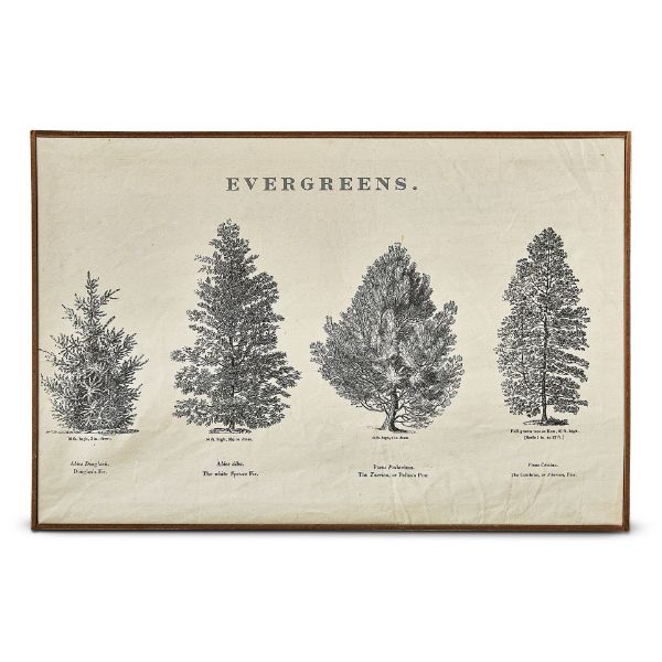 Picture of evergreen wall art - multi