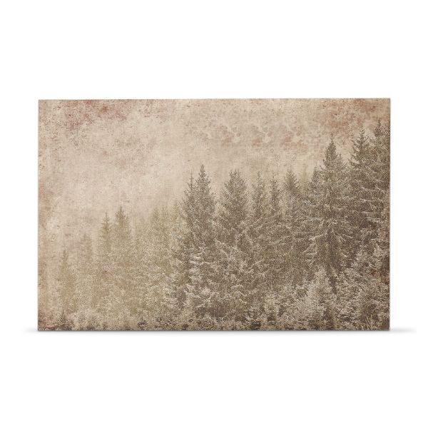 Picture of forest wall art - multi