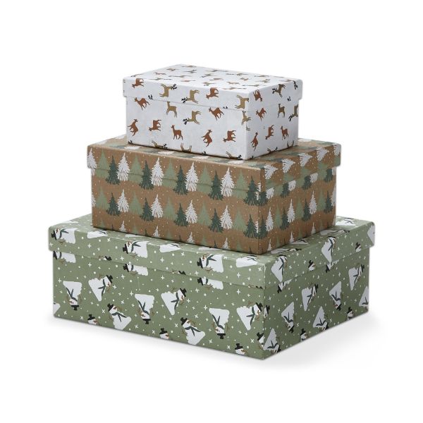 Picture of balsam paper box set of 3 - multi